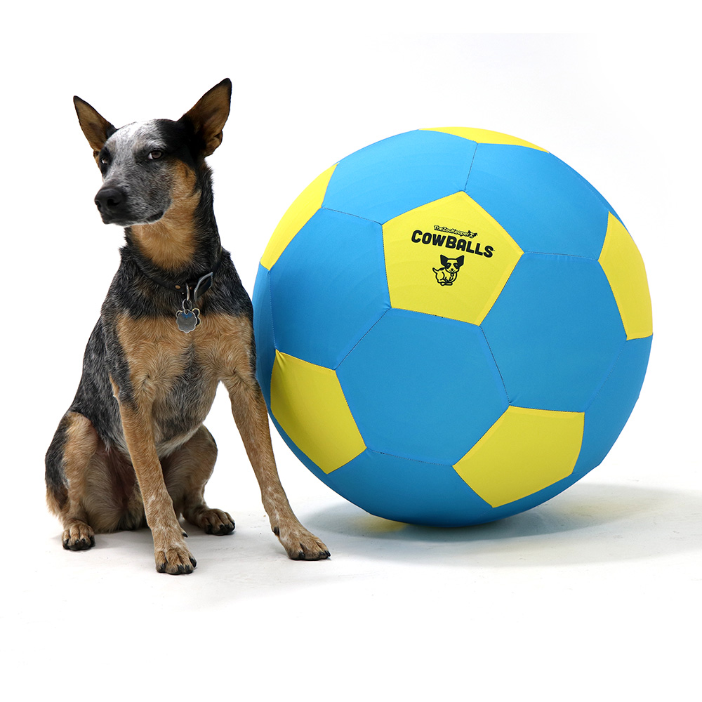CowBalls 25” Giant Ball for Dogs